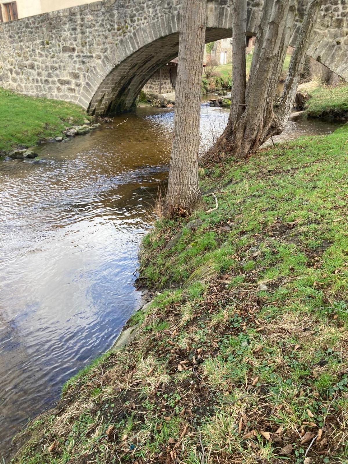 Jolie Maison De Campagne, Compostelle Soleymieux المظهر الخارجي الصورة